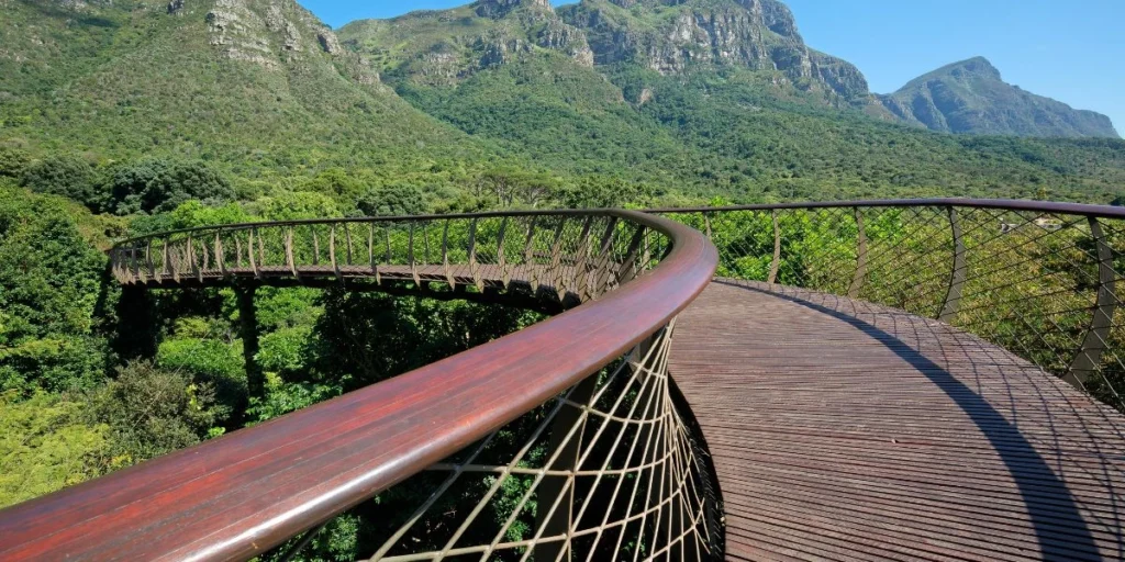 kirstenbosch gorgeous nature walk