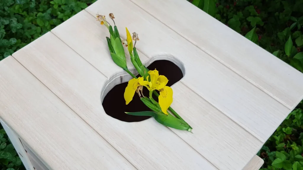 wellness retreat for women yoni steam chair