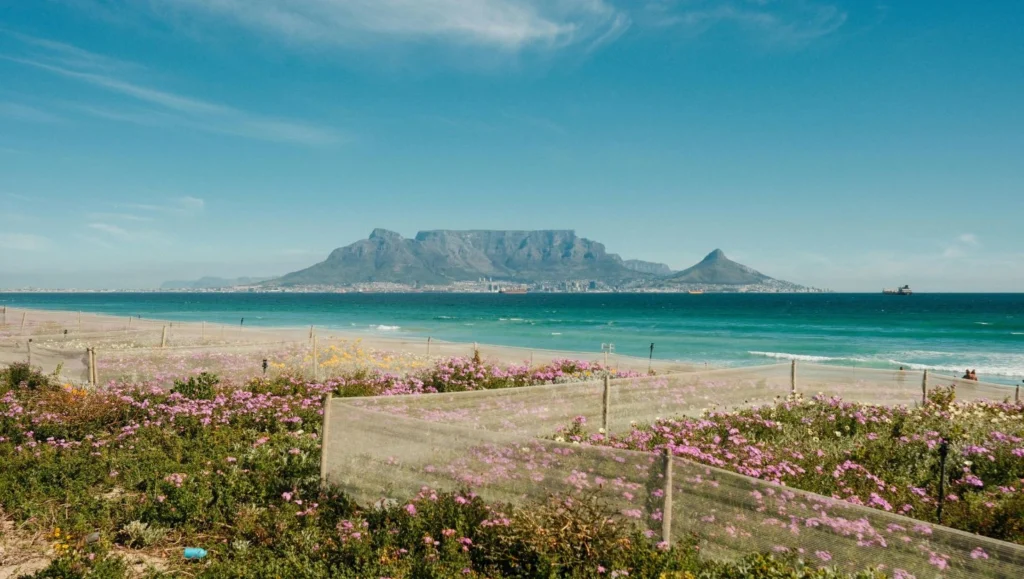 things to do in cape twn beach and the view on table mountain